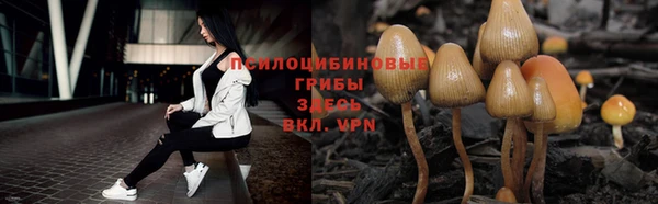 ГАЛЛЮЦИНОГЕННЫЕ ГРИБЫ Алексин